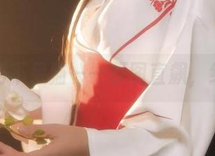 海滩上的不呆猫——原图直飙，绝不含糊