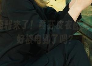 丽柜 - 福利来了！黄芬皮衣图集，你准备好被电到了吗？