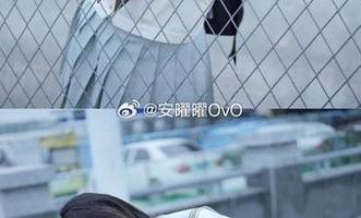 安曜曜的白色，我在图库边看边想：这样真的不会给我太多压力吗？